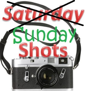 Saturday Shots