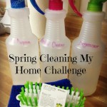 Spring Cleaning My Home Challenge The Bathroom