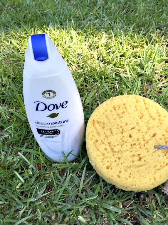 Dove body wash