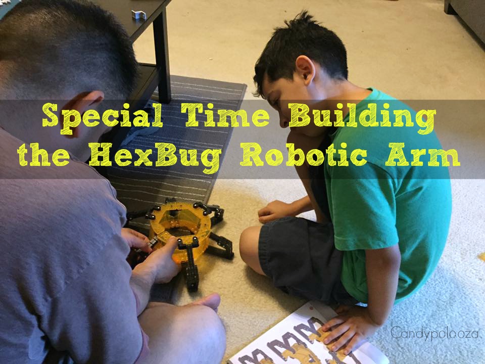 Special Time Hexbug 1