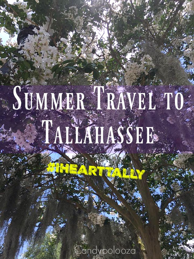 Summer Travel Tallahassee