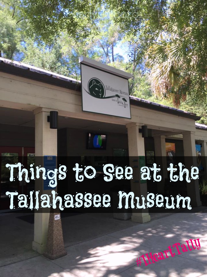 Tallahassee Museum 1