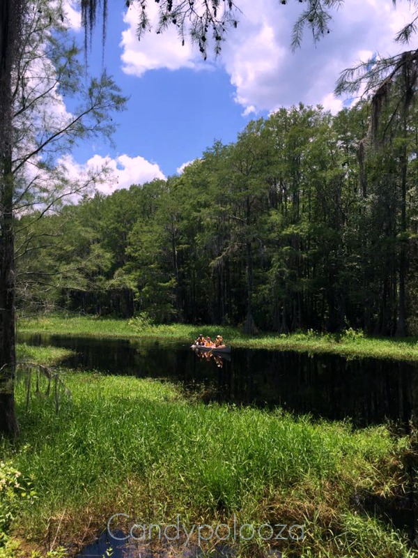 river tallahassee museum