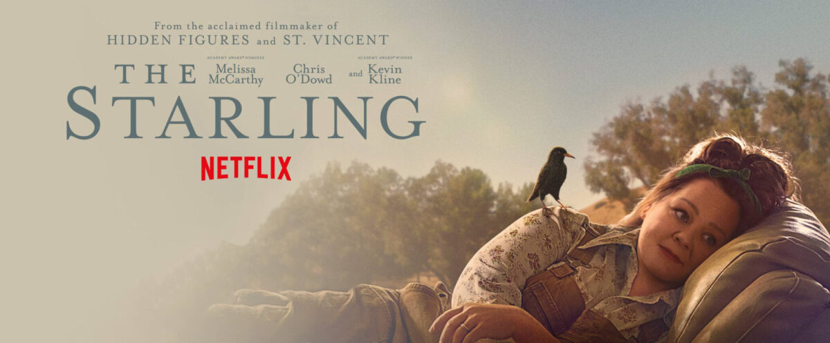 The Starling on Netflix on candypo.com